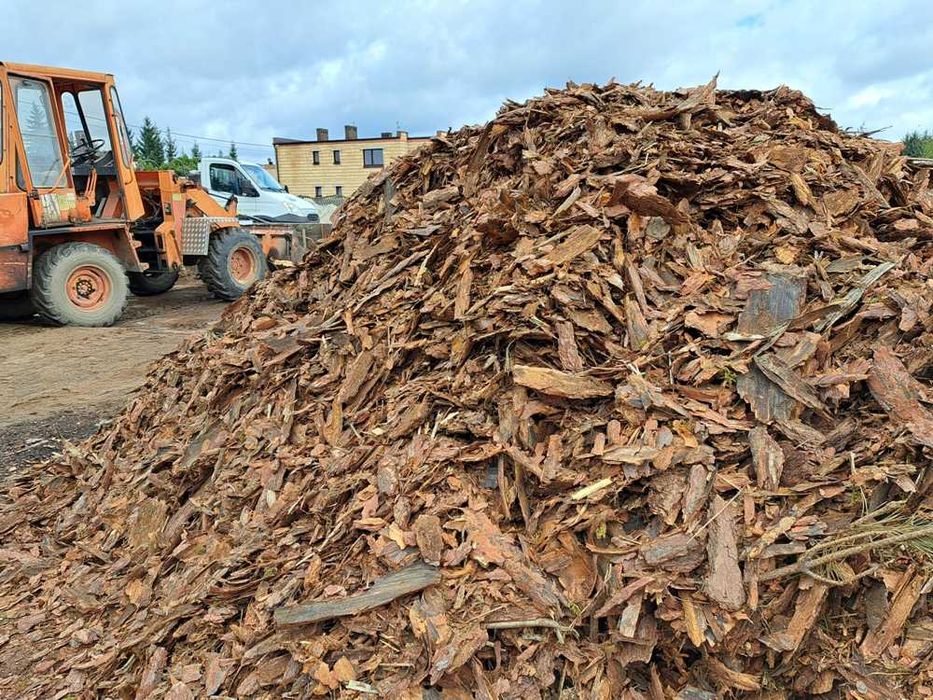 Kora sosnowa średnia Mosina PROMOCJA