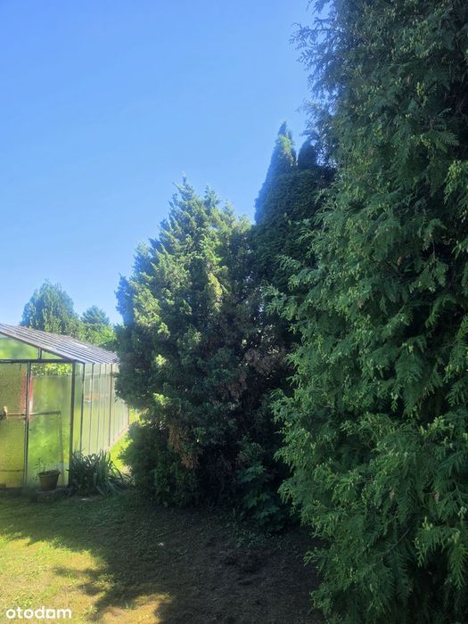 Doskonała lokalizacja z bezpośrednim dojazdem, ul. Sadowa Kołobrzeg - Widok 5