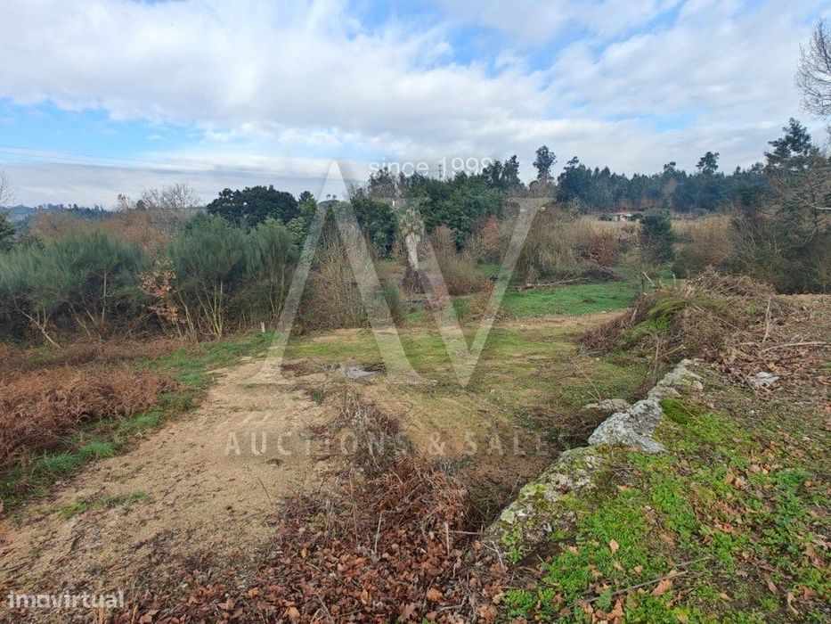 Terreno para construção - SANTA COMBA DÃO | LEILÃO ELETRÓNICO | FIM...