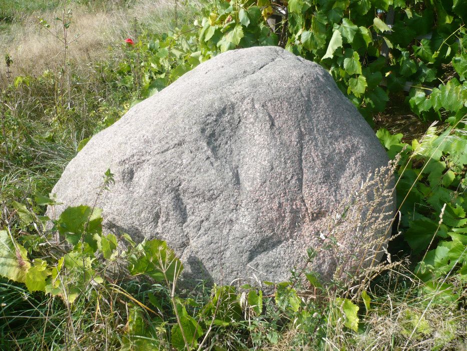 Głaz (kamień) średnica około 1,5 m