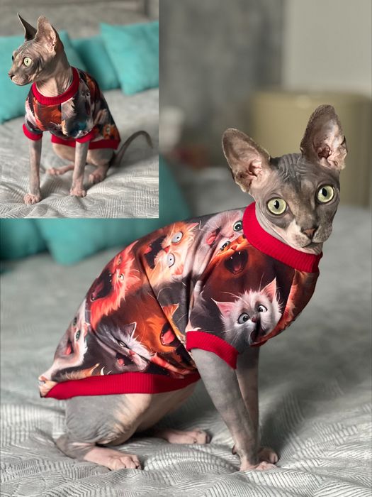 Одяг для котів Сфінксів