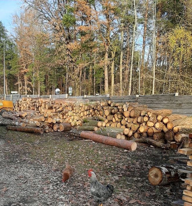 Sprzedam drewno opałowe