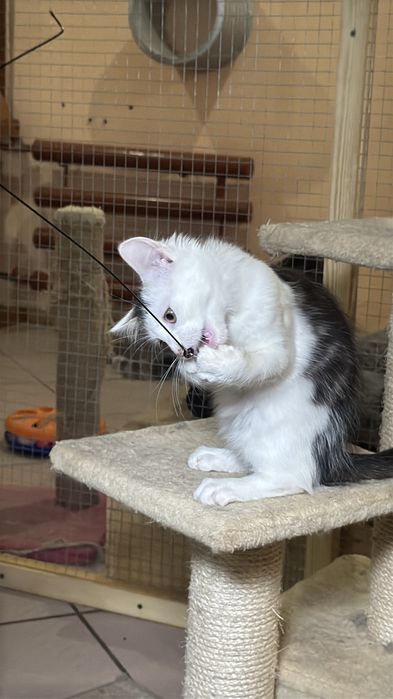 Классный Гарик в лучшую семью