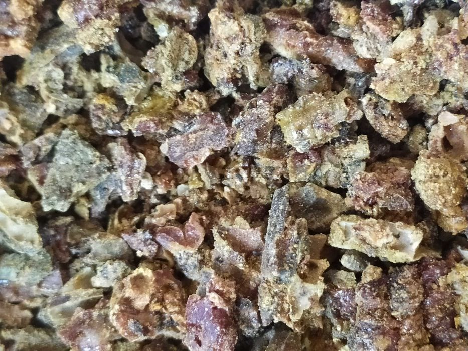 Kit pszczeli 100 gram