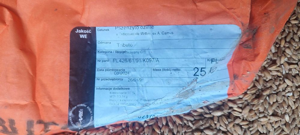 Przenżyto ozime Tributo