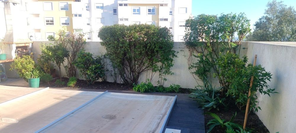 Limpeza de terreno jardim