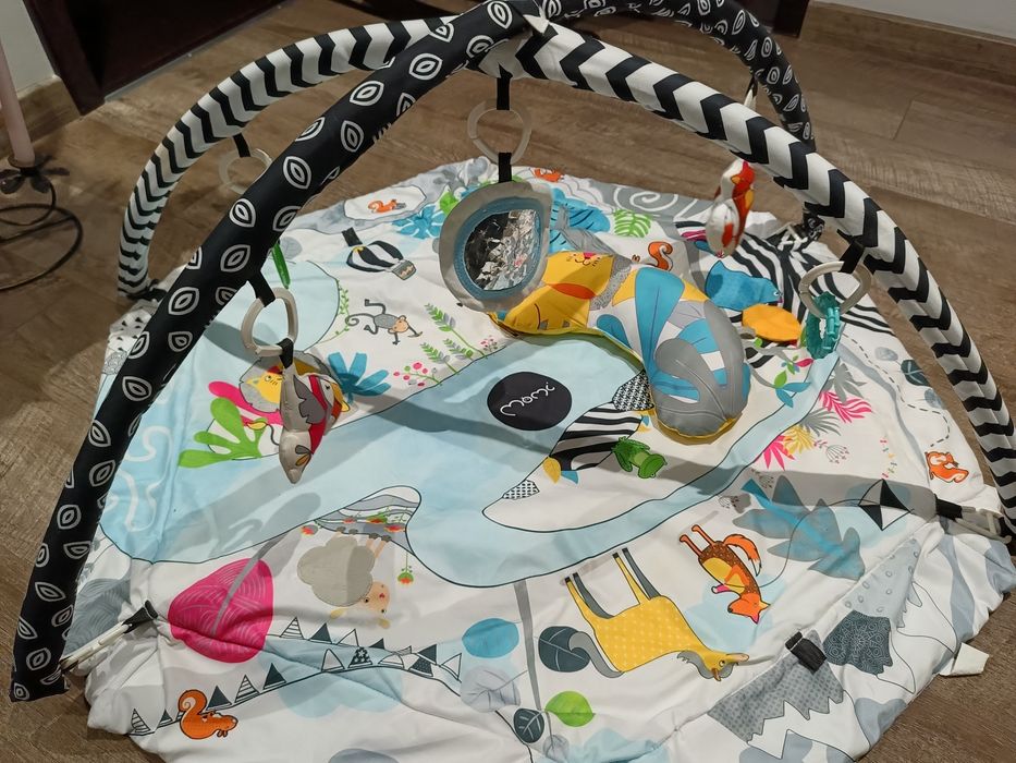 Mata edukacyjna Momi