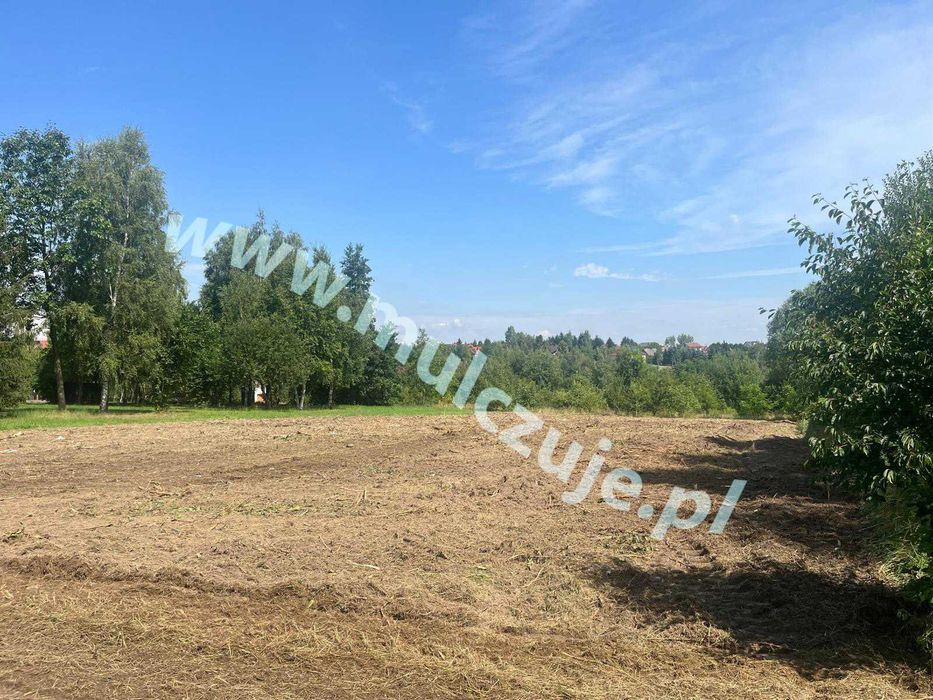 Mulczowanie wgłębne powierzchowne Alwernia Karczowanie działek Mulczer