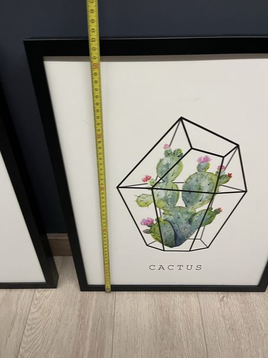 Obraz w ramie kaktus Ars Longa 53cm x 43cm