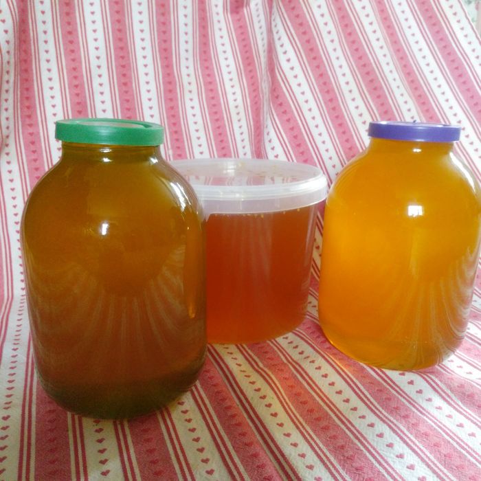 Мед  акация+разнотравье+подсолнух 2025