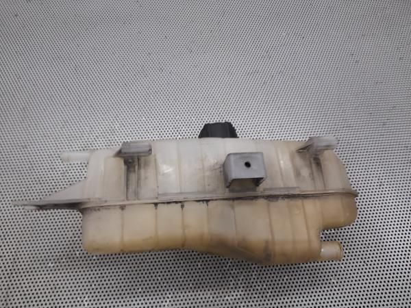 Vaso Expansao / Radiador RENAULT Clio III (BR0/1, CR0/1)