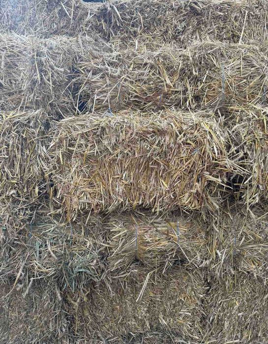 Продам солому різного виду