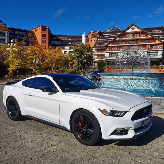 Ford Mustang VI performance Strzelin • OLX.pl