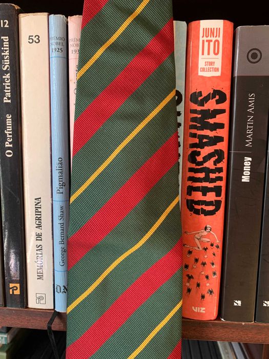 Gravata de Seda Frangi