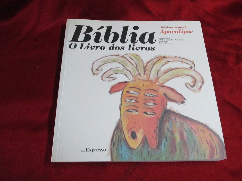 A Biblia o Livro dos Livros ( Colecção 12 Livros ) Ilustrada
