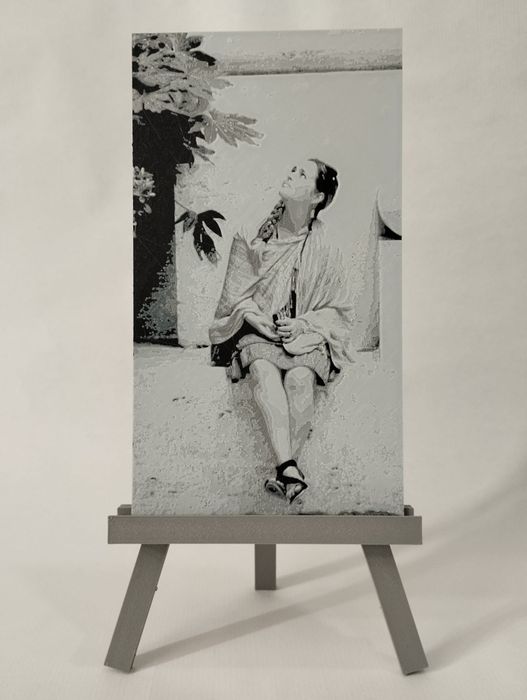 Quadro com relevo 3D64752250951425120