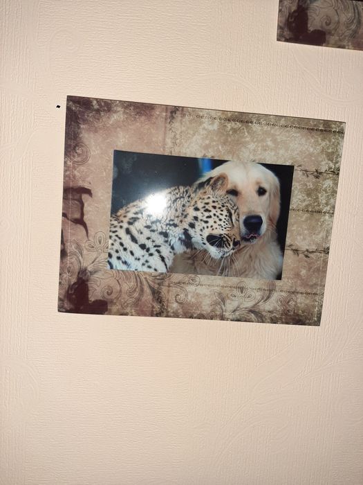 Шикарные фоторамки. Стекло.