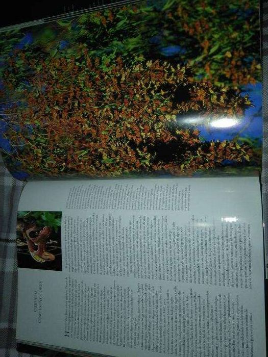 6 livros da Natureza selvagem