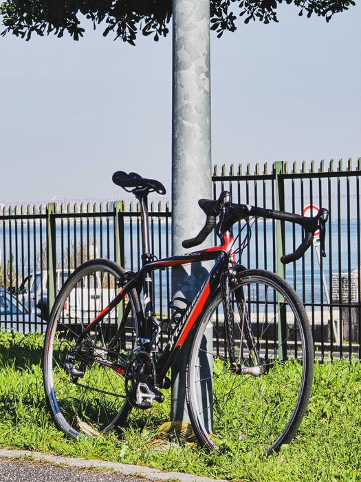 Specialized de estrada T/52