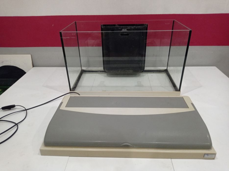 aquário para peixes