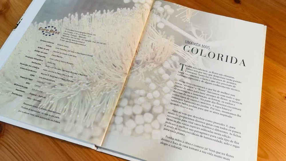 Arranjos & Flores Em Casa e no Jardim - Livro