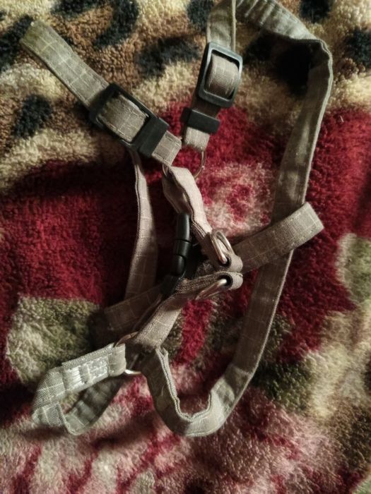 Собачий речи для шинят