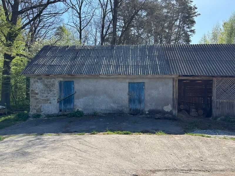 Мисливський будинок 218 м², на ділянці 0.5 га у лісі (Звягельський р-н). Готовий бізнес