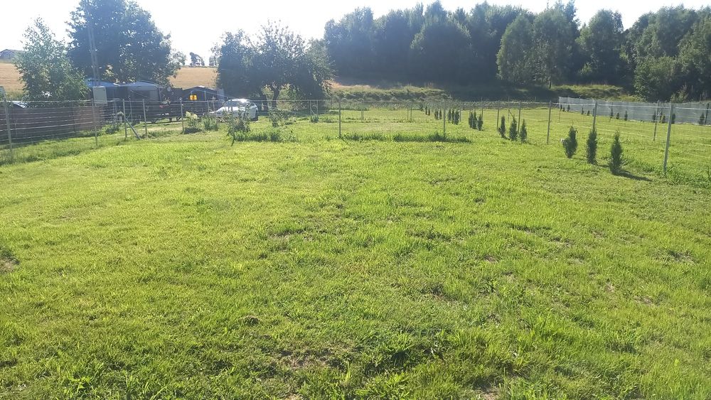Działka nad jeziorem - roczna dzierżawa pod przyczepę, kamper
