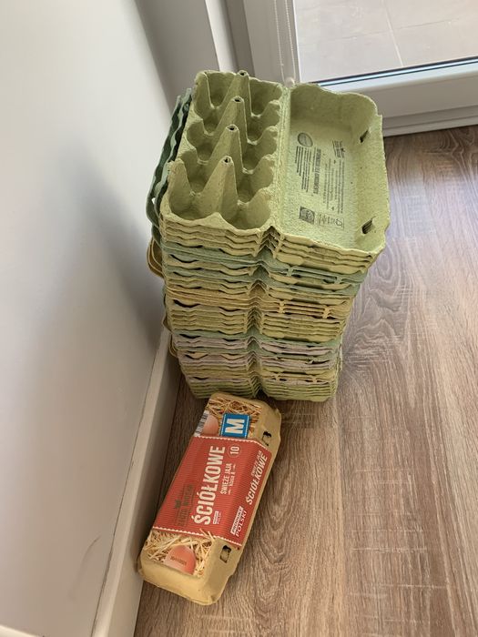 wytlaczanki na jajka 17 na 10 jaj