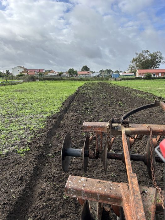 Limpeza de terrenos e serviços agrícolas e florestais .