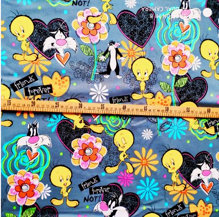 Tecido patrulha pata,skye,marshal,zuma,ruble,rocky,evererest,Lady Bug