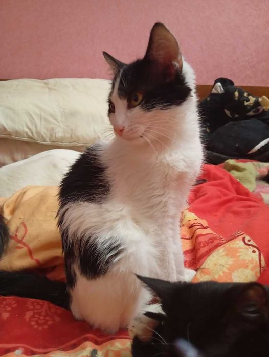 Марічка та Маратка