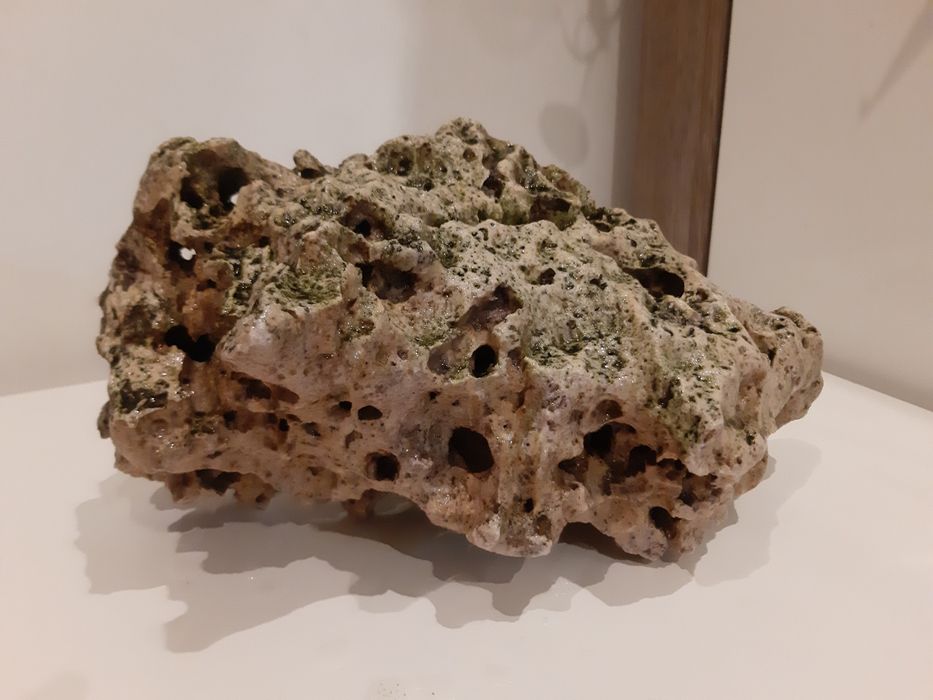 Skała  do akwarium duża