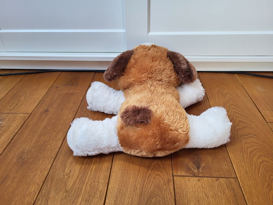 duży, leżący piesek bernardyn, pluszak, maskotka Pepco dł.50 cm