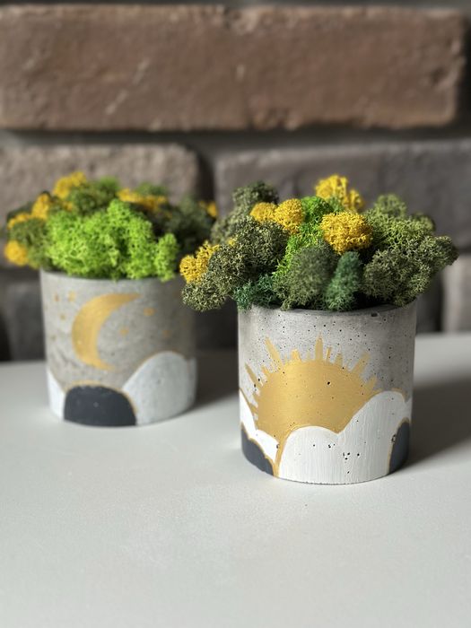 Кашпо із стабілізованим мохом. Декор. Подарунок!