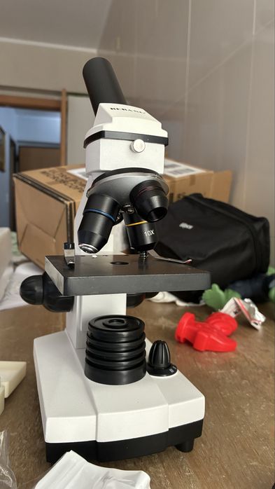 Microscopio bebang