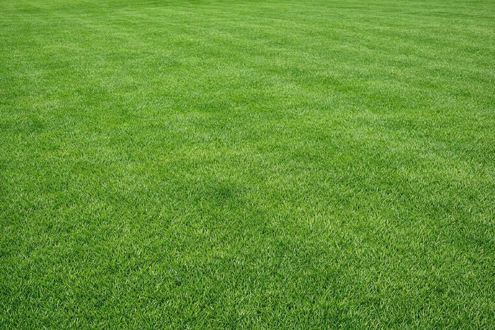 Prywatny Ogrodnik Koło