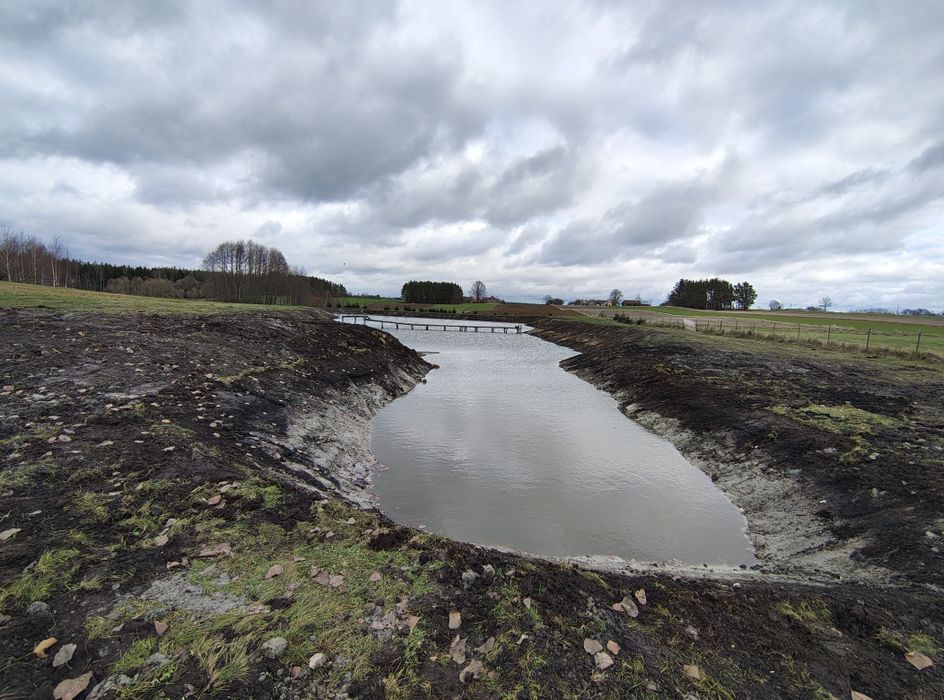 Koparka, usługi koparkami, stawy, wykopy, roboty ziemne