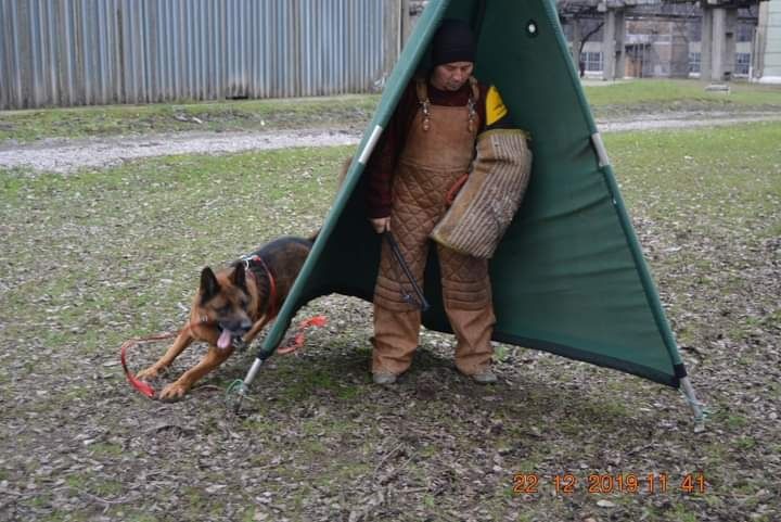 Инструктор-Кинолог