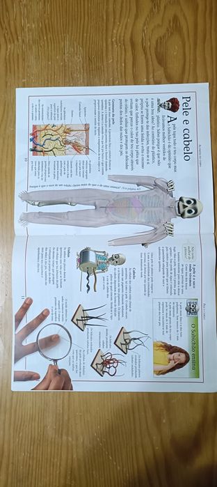 Coleção do Corpo Humano