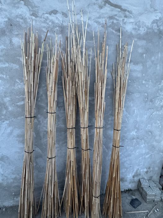 Sprzedam kijki bambusowe