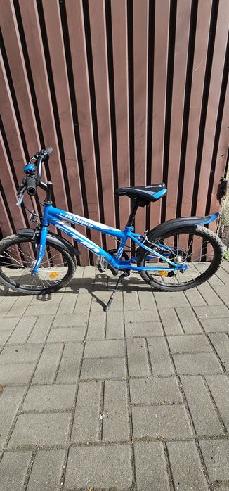 Rower CTM SCOOBY 2.0