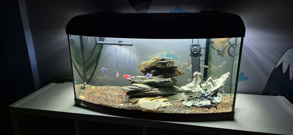 Zestaw akwarium 112l z rybkami i osprzętem