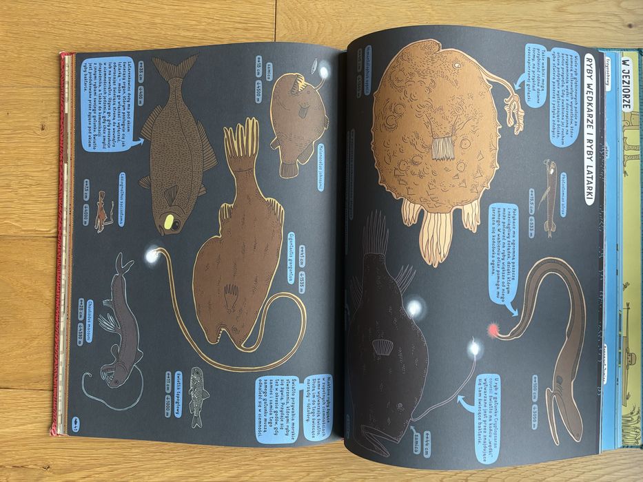 Ksiażka Pod ziemią, pod wodą