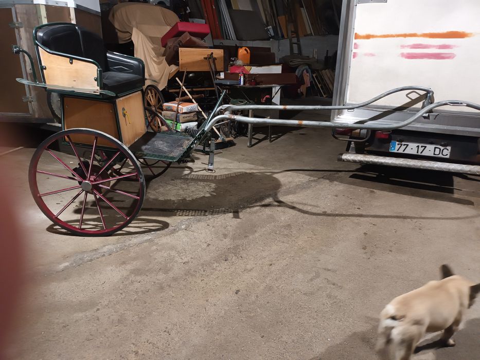 Charrete confortável com suspensão ajustavel