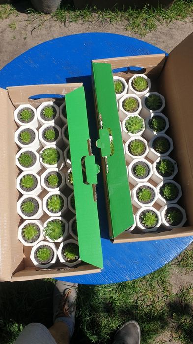 Podziękowanie dla gości