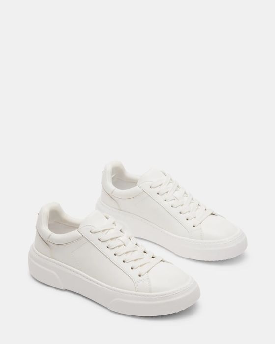 Кросівки Steve Madden жіночі
