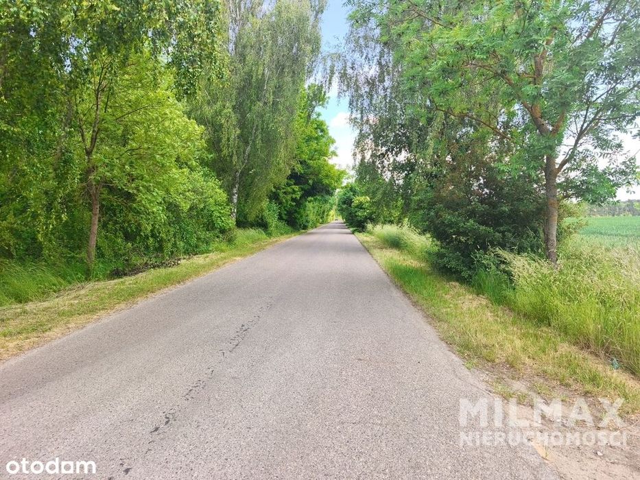 Duża działka rolna 16,45 ha – gmina Mieszkowice - Więcej