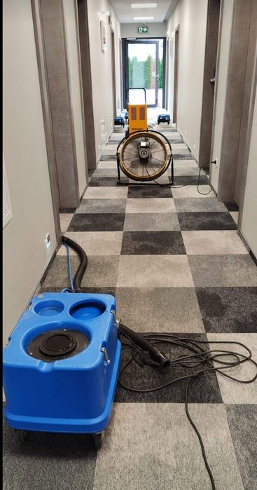 Pranie wykładzin. Biuro, hotel, restauracja, przedszkole.
