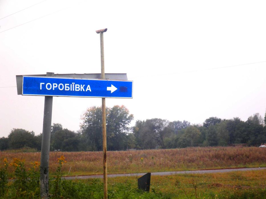‼️Без комісії‼️ ̶8̶0̶0̶0̶$̶ Ділянка с. Горобіївка 18 соток фасад 87м.